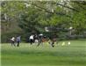 Group of golfers teeing off