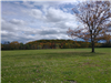 Altamont Fairgrounds Fall Foliage