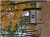 Dutchmen Field Sign Fall Foliage