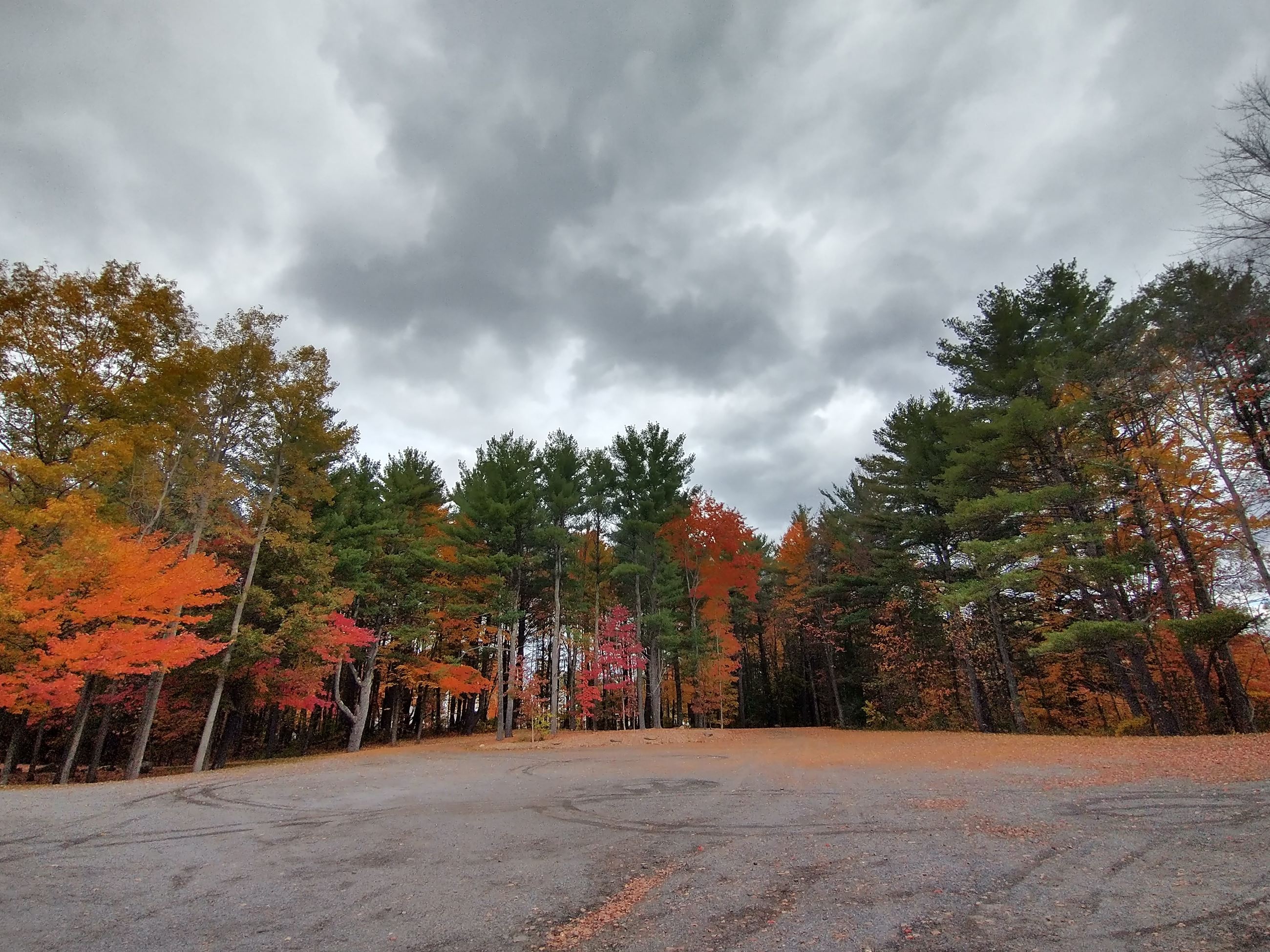 Dutchmen Field Parking Lot Fall Foliage