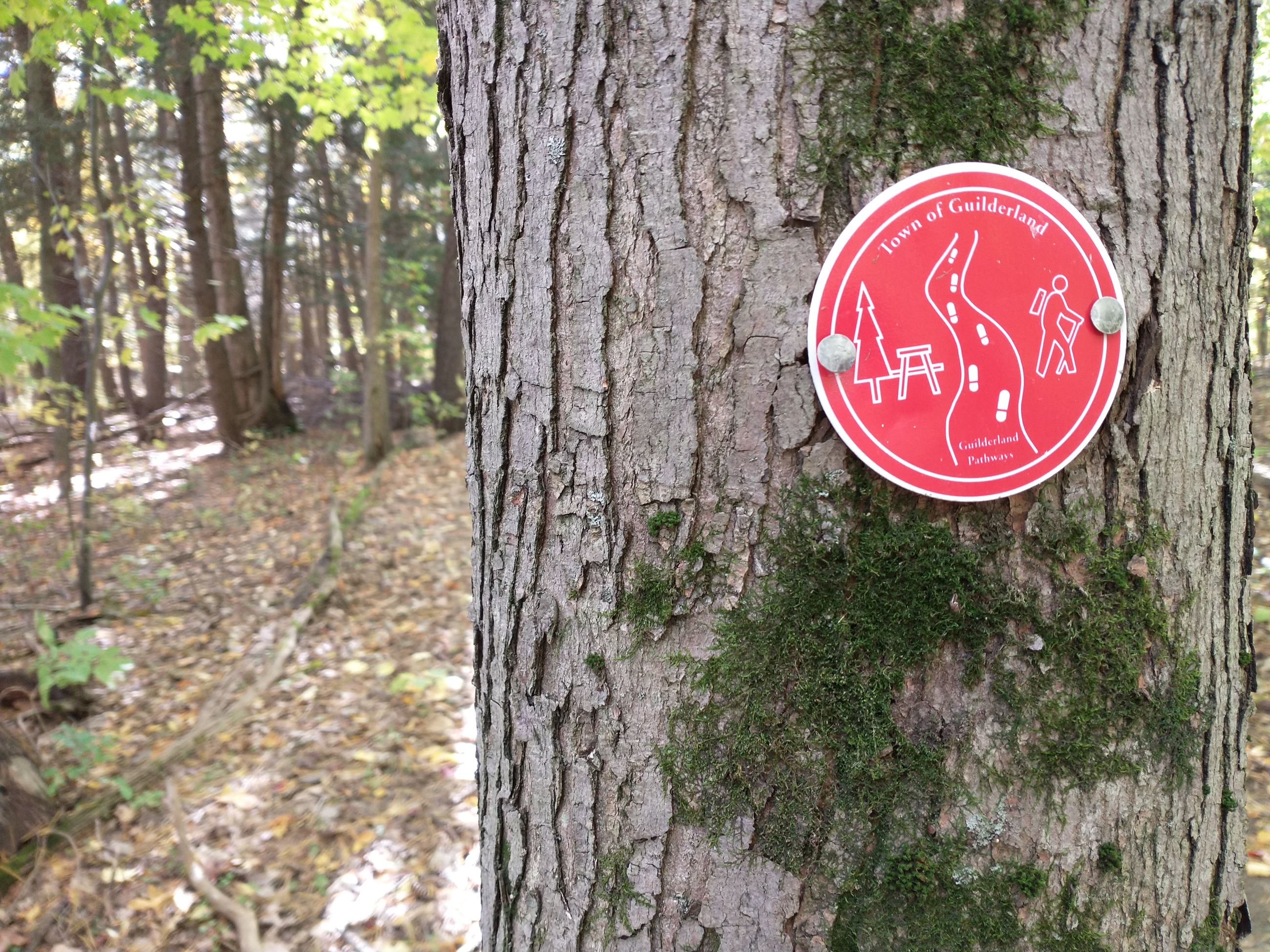 Guilderland Town Park Trail Marker