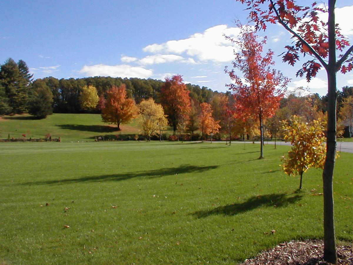 Tawasentha Park Field